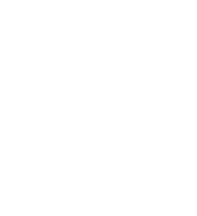 Lake Tour Bellagio SRL
