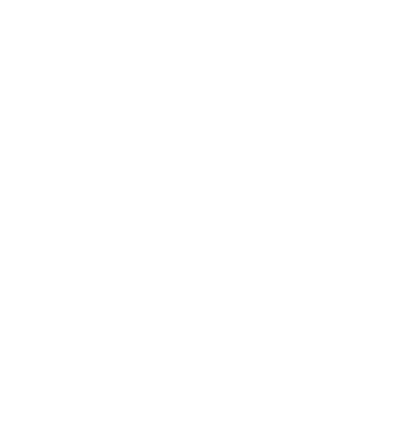 Lake Tour Bellagio